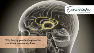 Visual of the human brain highlighting the amygdala and neocortex, illustrating how the body and mind process emotional stress differently.